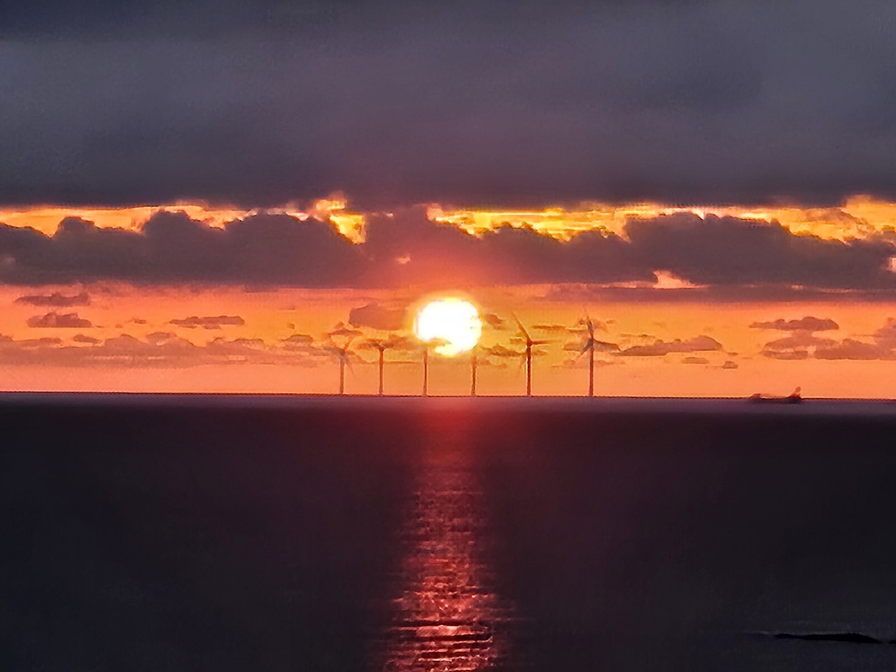 유채색 인생으로.jpg