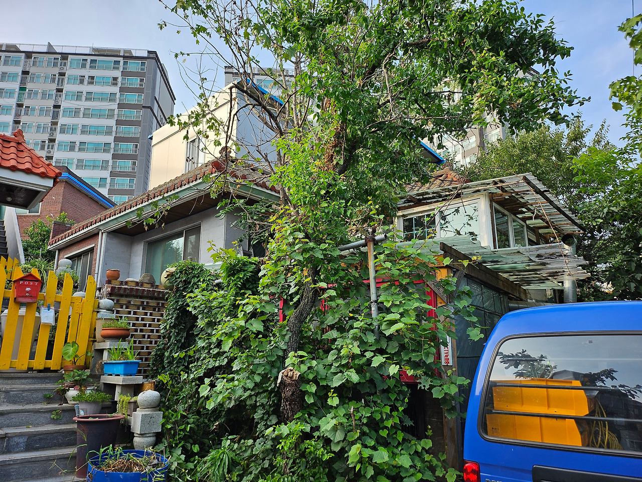 초심자의 행운.jpg