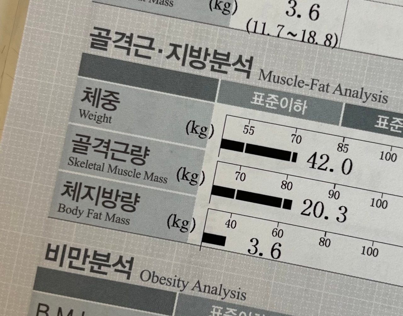 카지노 쿠폰