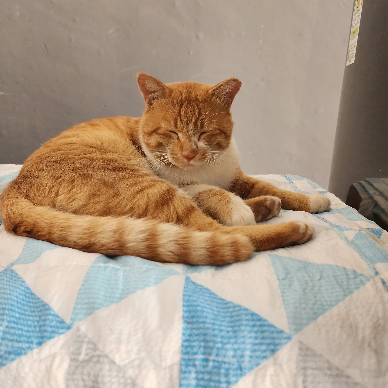 20220921_122910 (1).jpg