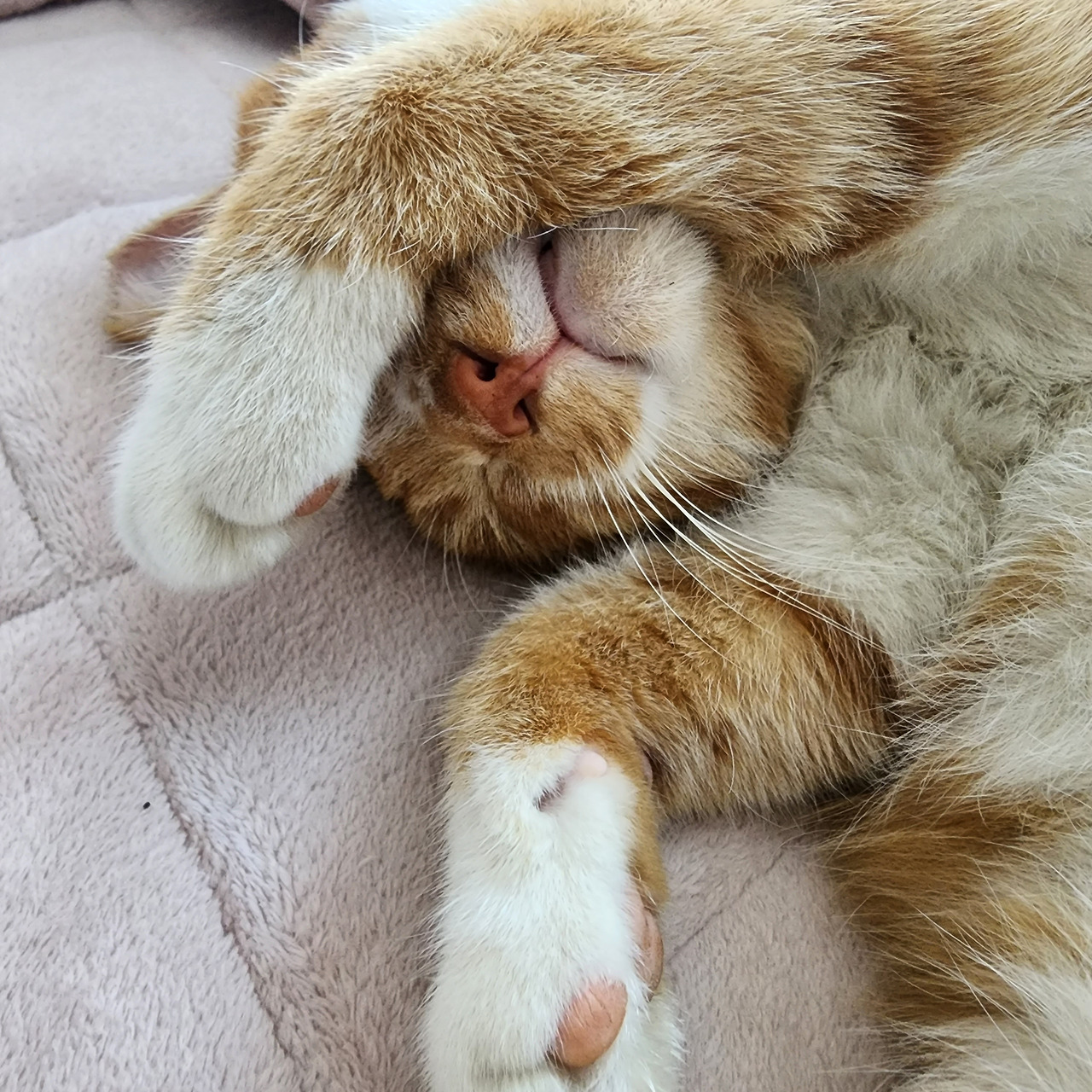 20221111_134529 (1).jpg