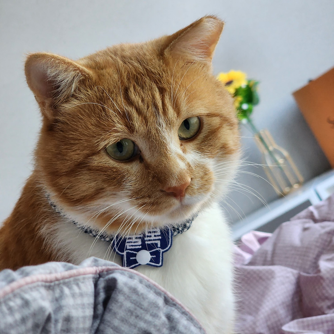 cb106ab5-8c2e-4542-9453-98d7a9849337 (1).jpg