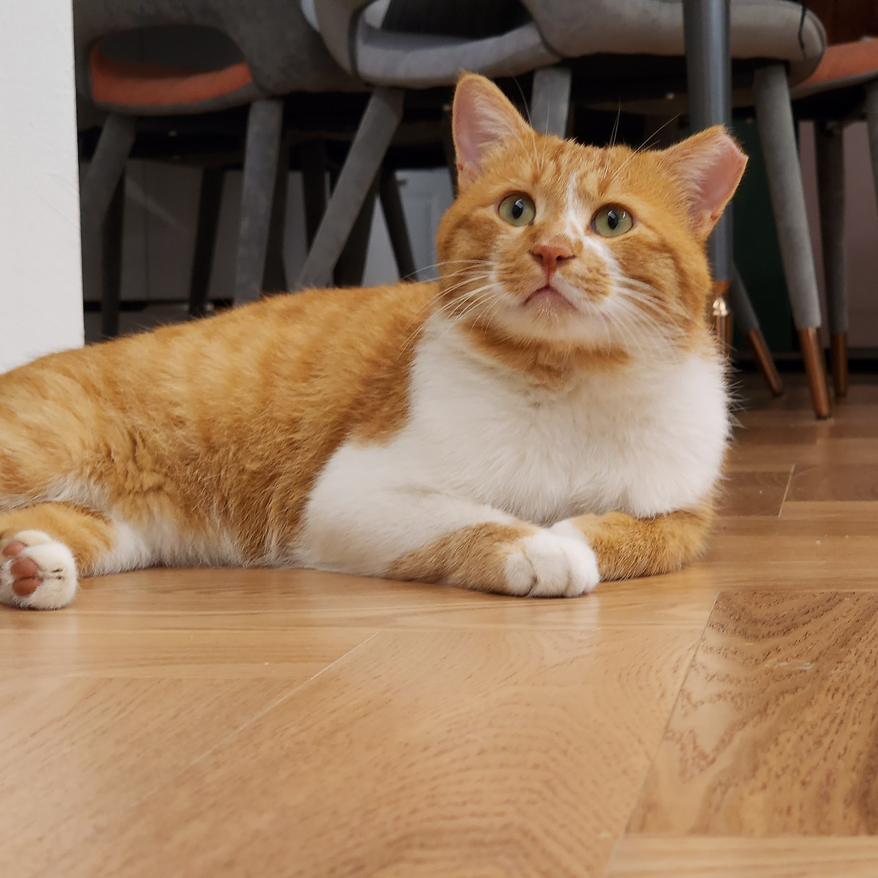 20221014_213103 (1).jpg