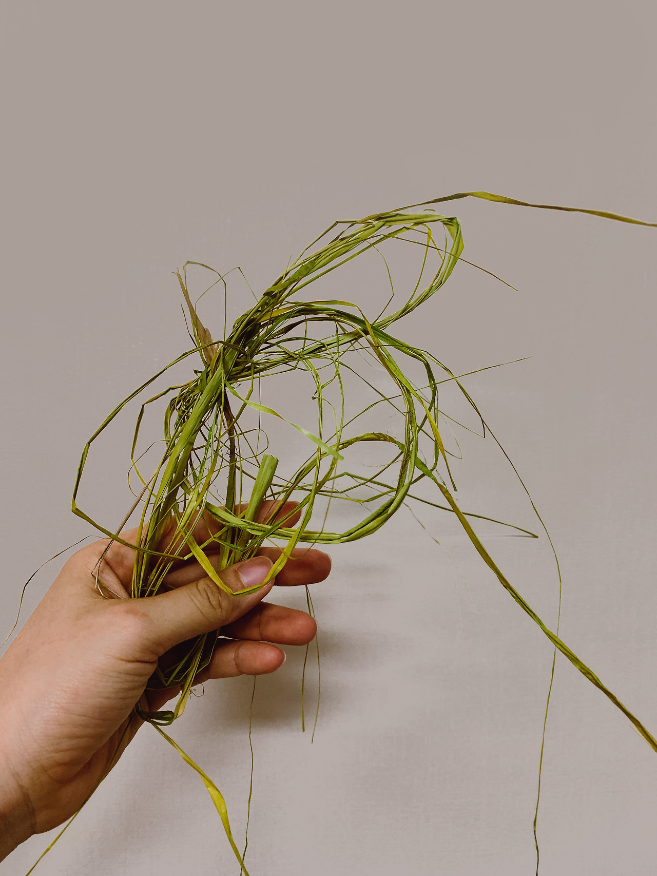 RNI-Films-IMG-3BF2023E-60BD-48EB-B111-9CBB9E99DD61 복사.jpg