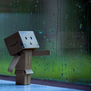 우일 이미지.jpg