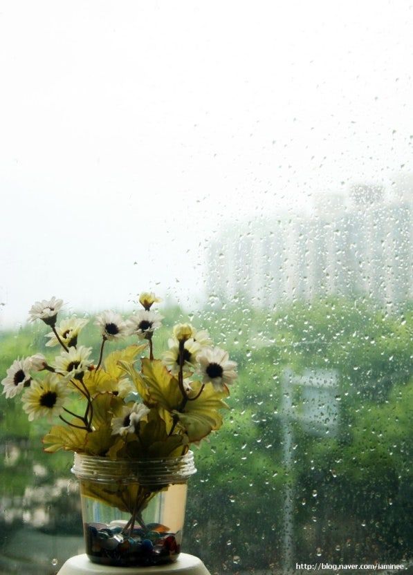 비오는 날.jpg