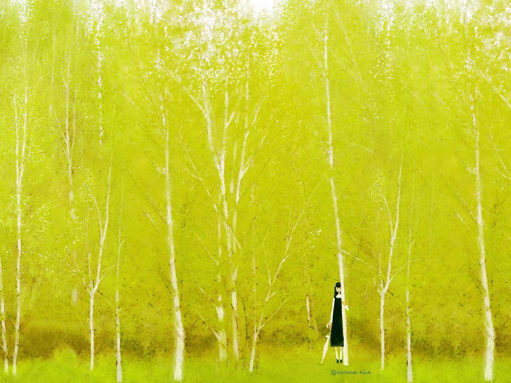 자작나무.jpg