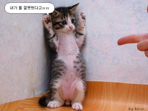 혼나는.jpg