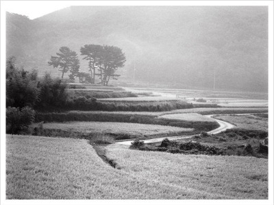 산촌 신작로.jpg