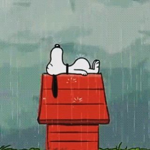 스누피 눈물.jpg