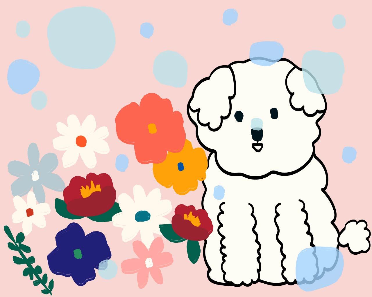 인어공주 강아지.jpg