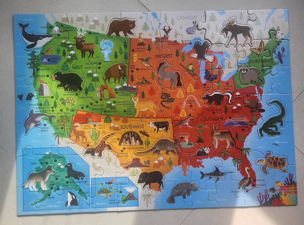 조카미국지도퍼즐.jpg