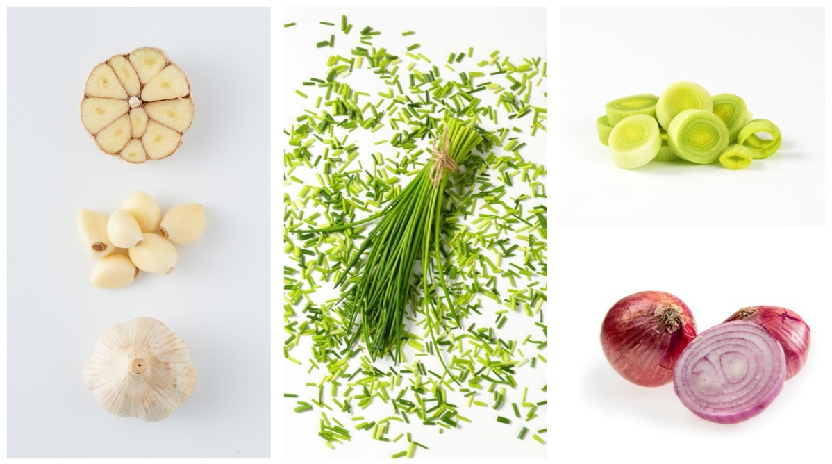 마늘 양파 부추 대파.jpg