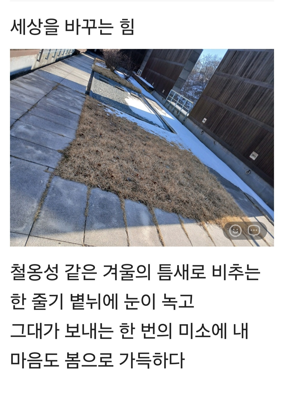 온라인 카지노 게임