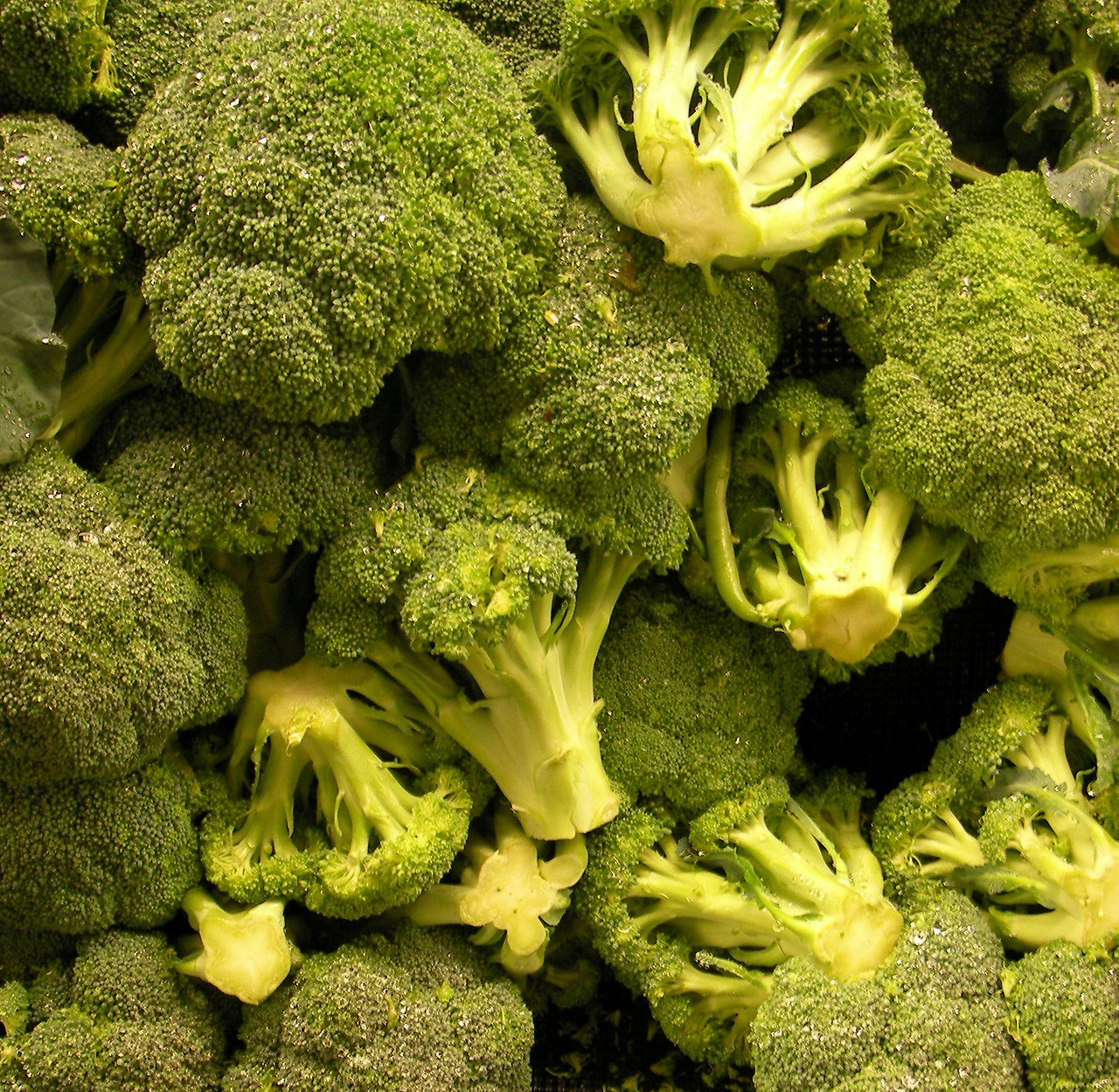 0708콜로라도스프링스 419.jpg