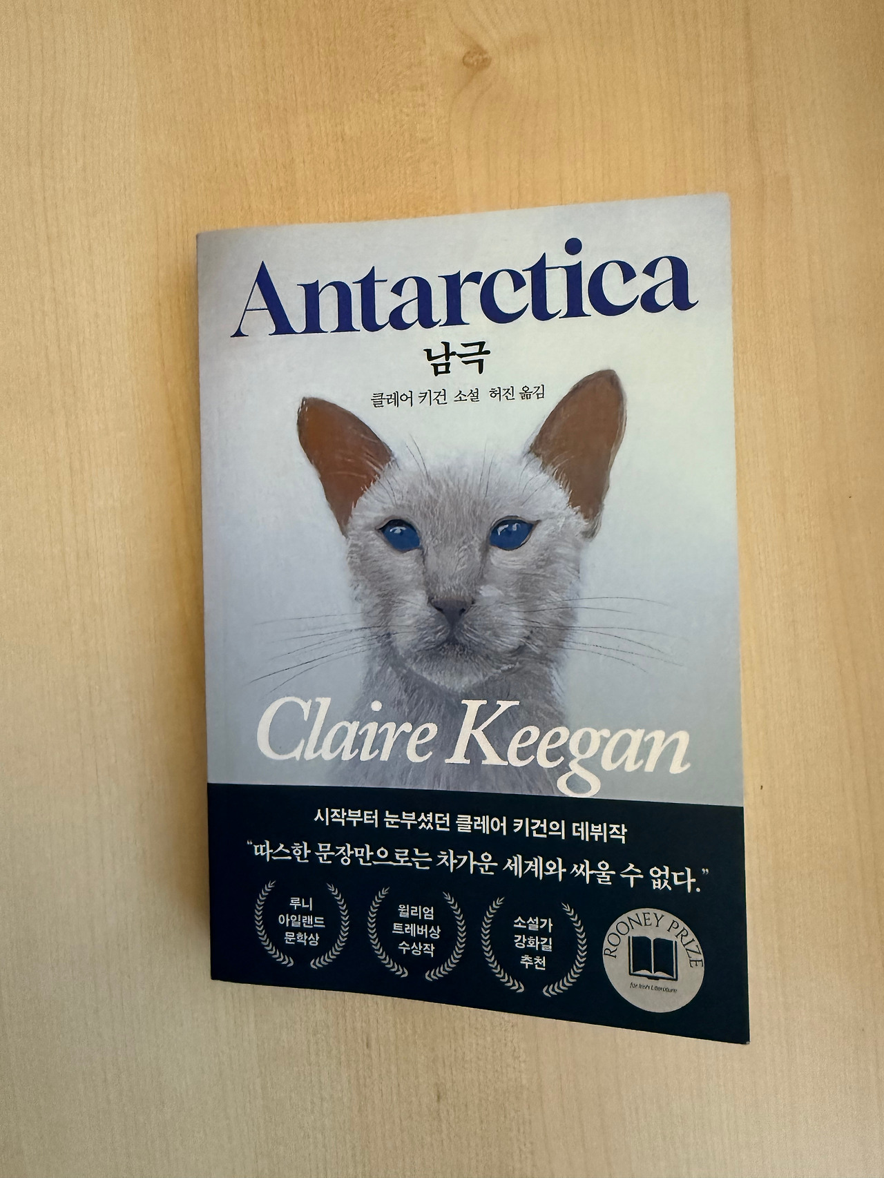 클레어 키건 남극.jpg