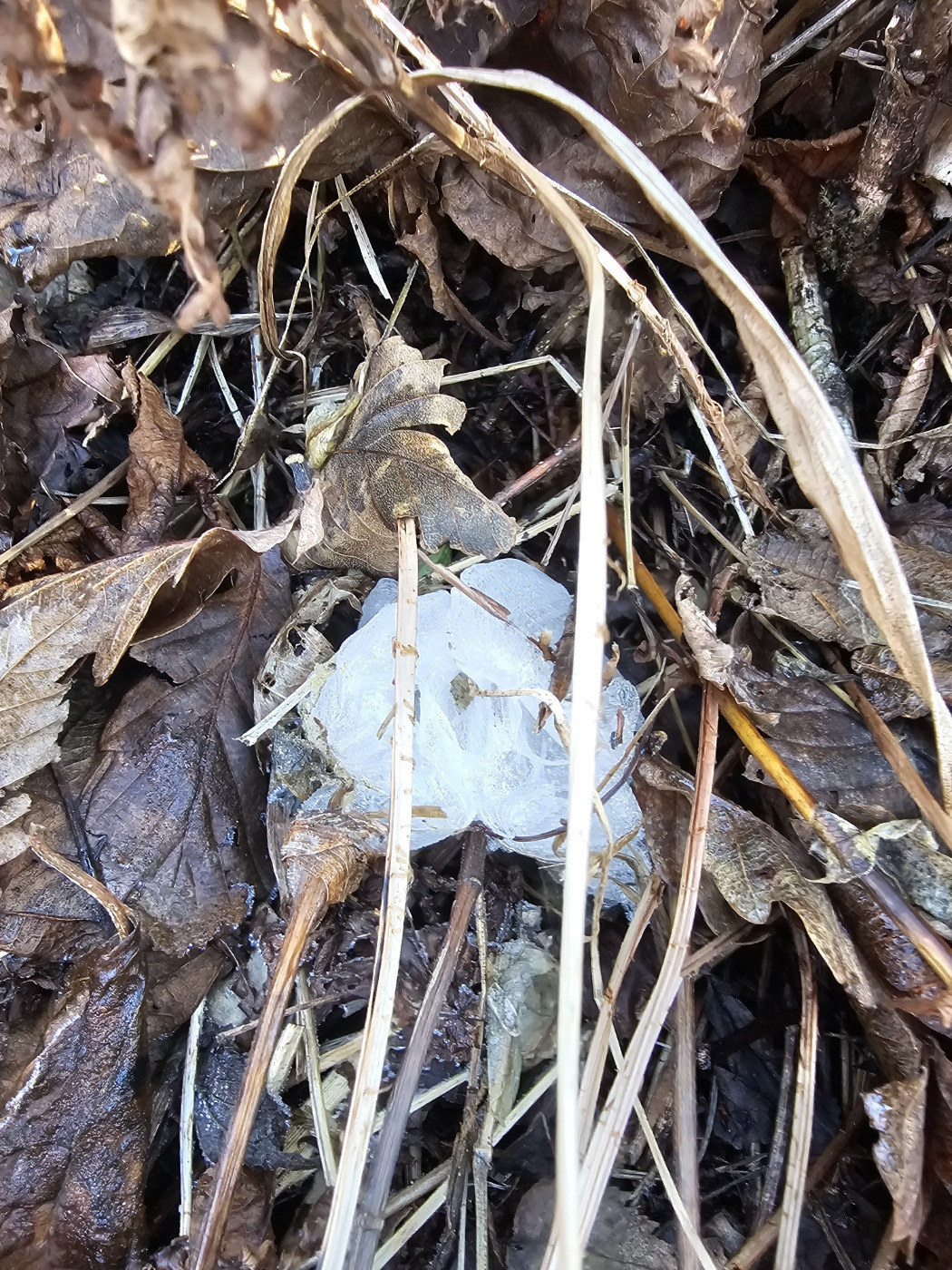 KakaoTalk_20241108_065118305_04 (1).jpg