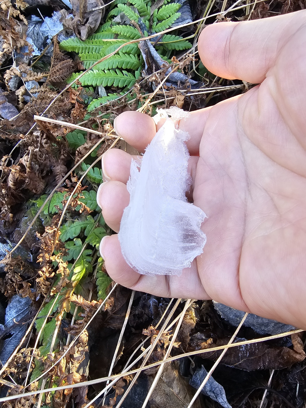 KakaoTalk_20241108_065118305_07 (1).jpg