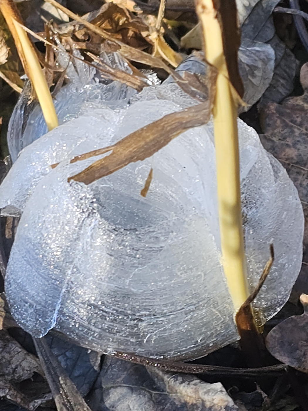 KakaoTalk_20241108_065118305 (1).jpg