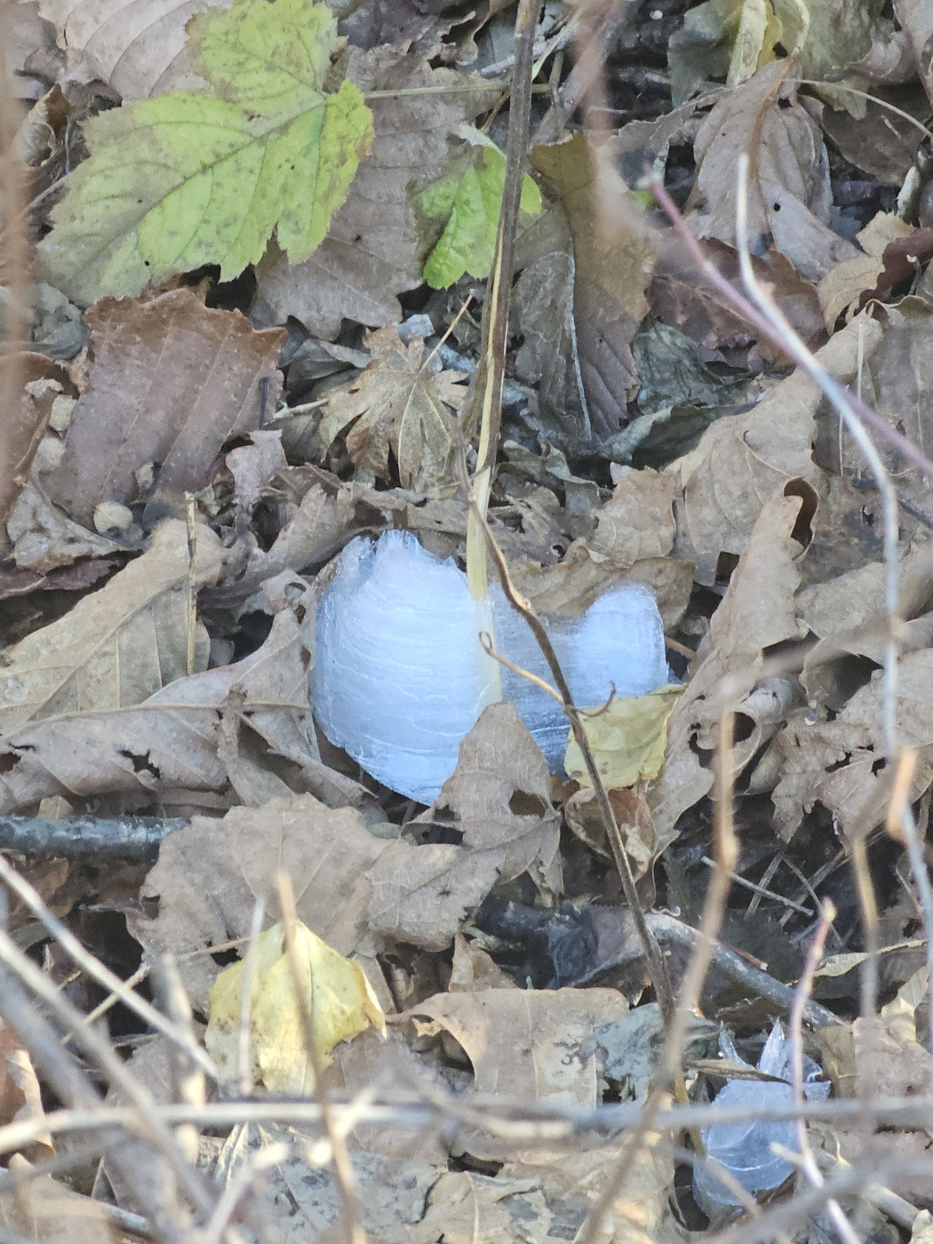 KakaoTalk_20241108_065118305_02 (1).jpg