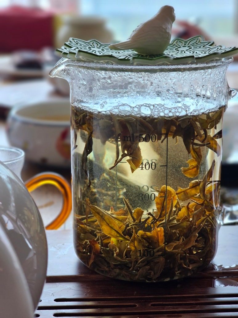 20240415＿114200 (1).jpg