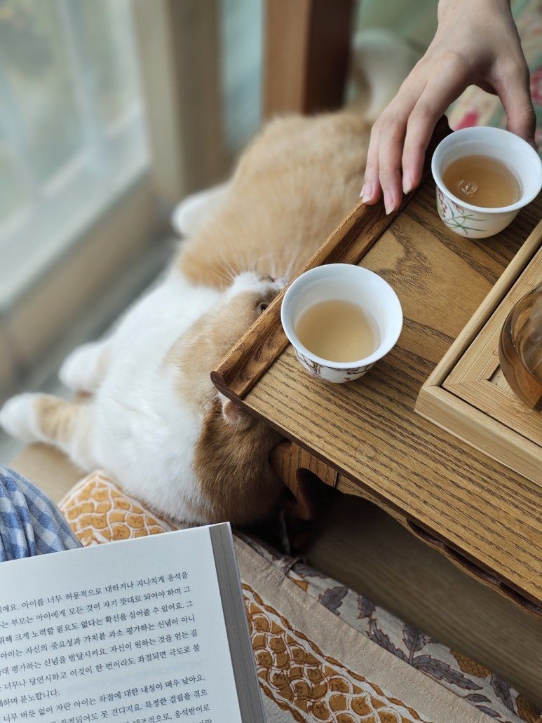 KakaoTalk_20241029_071147390 (2).jpg