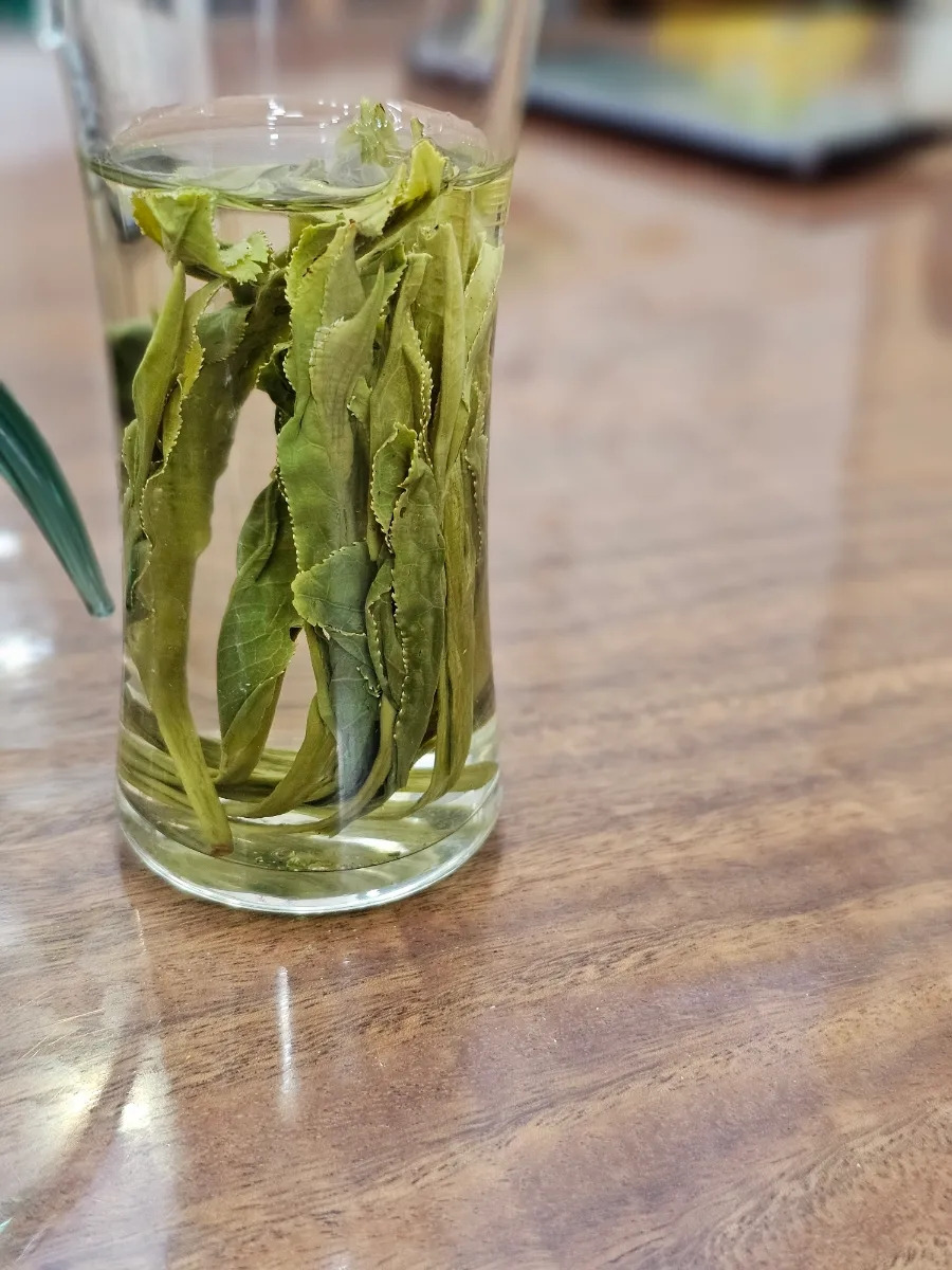 다운로드 (5).jpg