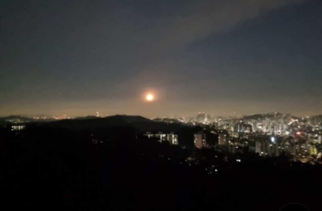 새벽 4시 2분의 전화 한 통