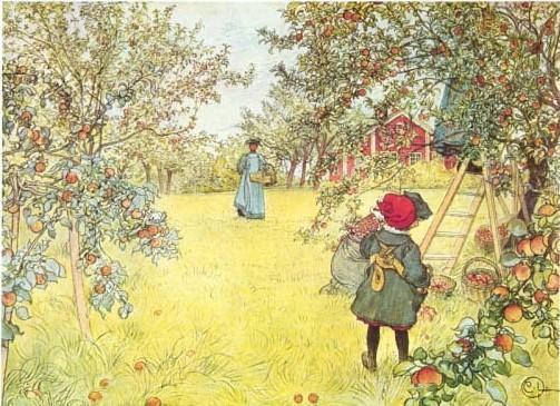 Carl-Larsson-Apple-harvest.jpg