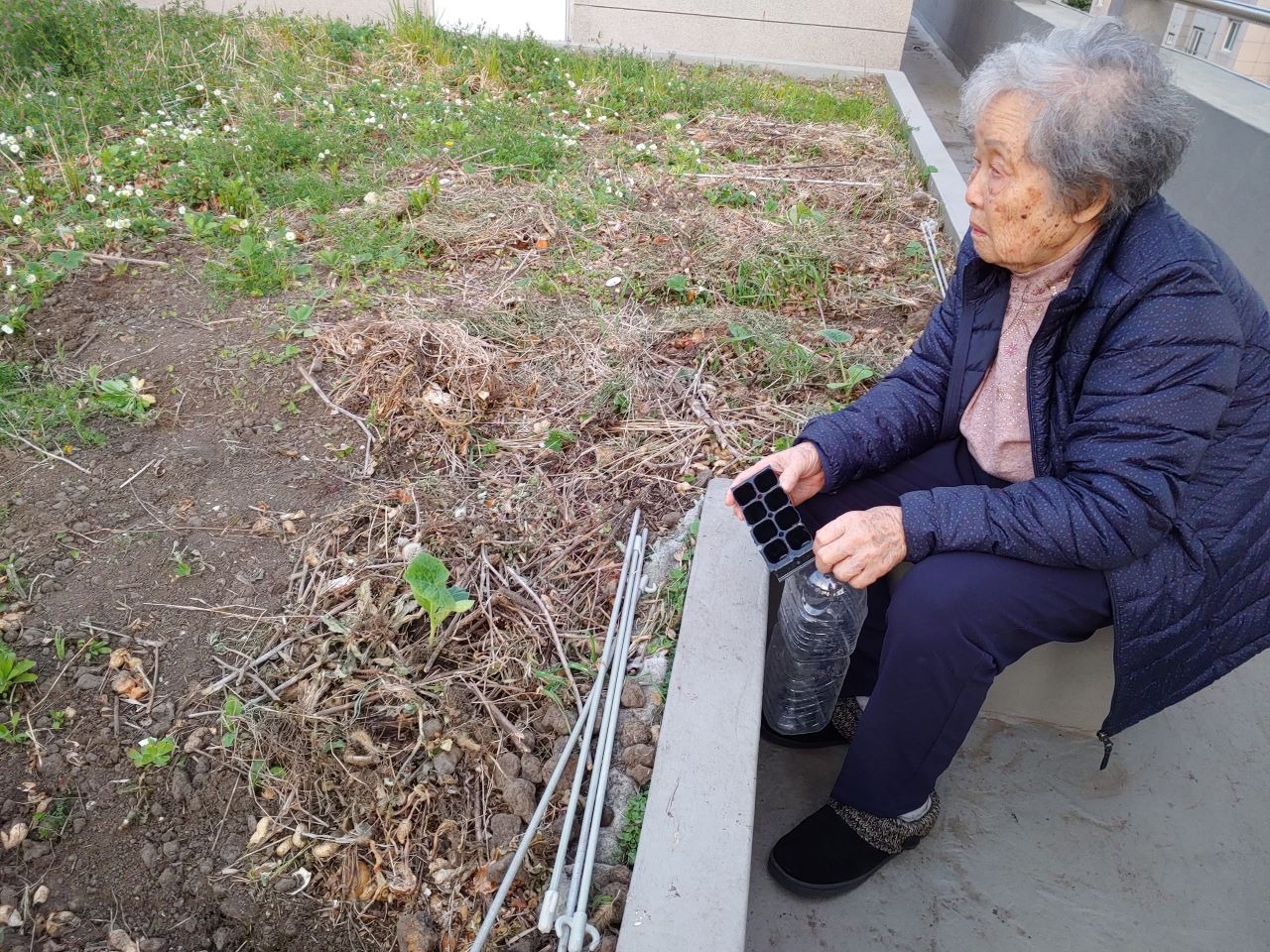 20220410_4월 옥상텃밭.jpg