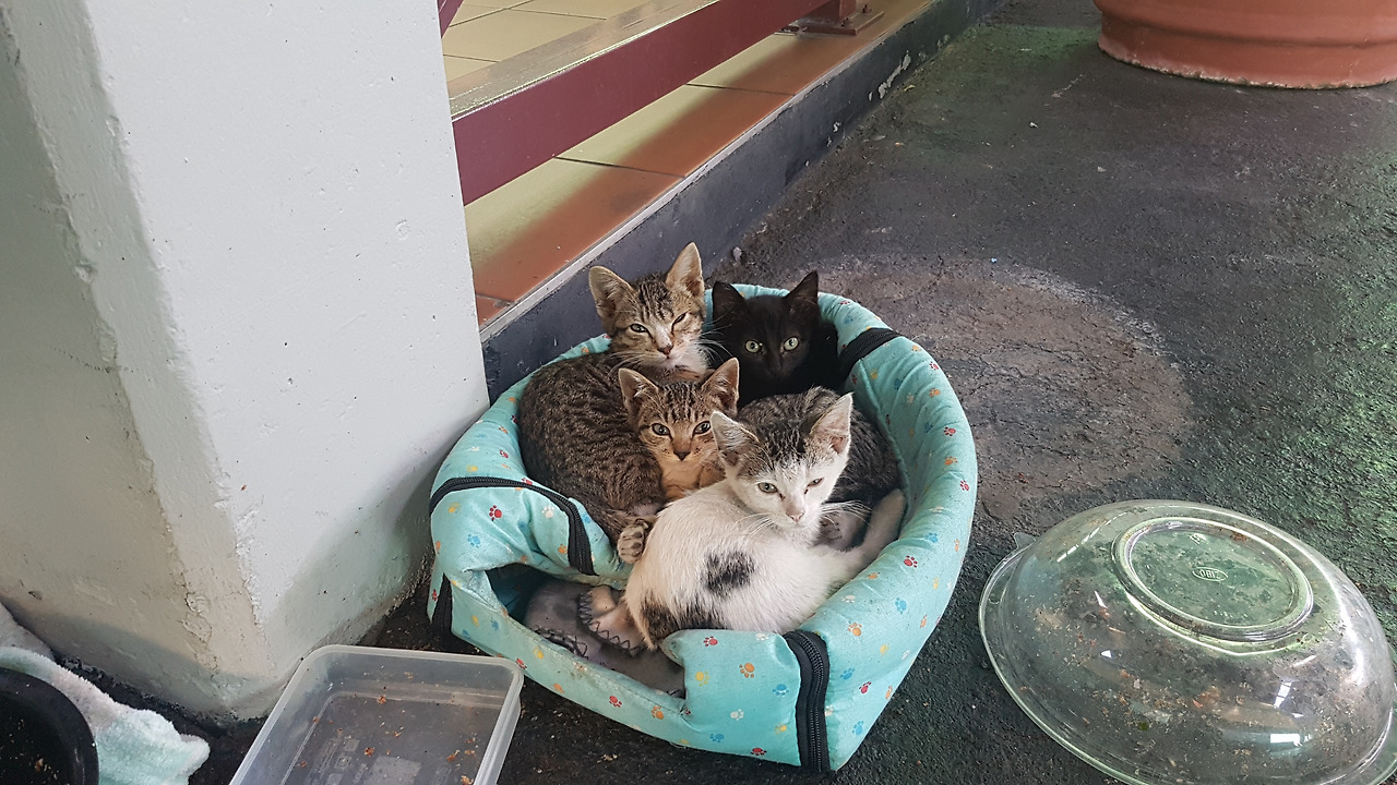 20170515_092525 (2).jpg