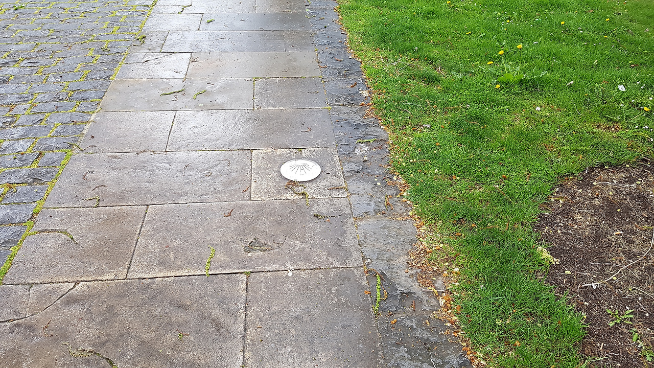 20170401_140418 (1).jpg