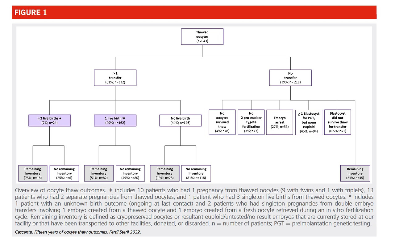 브런치 자료2.jpg
