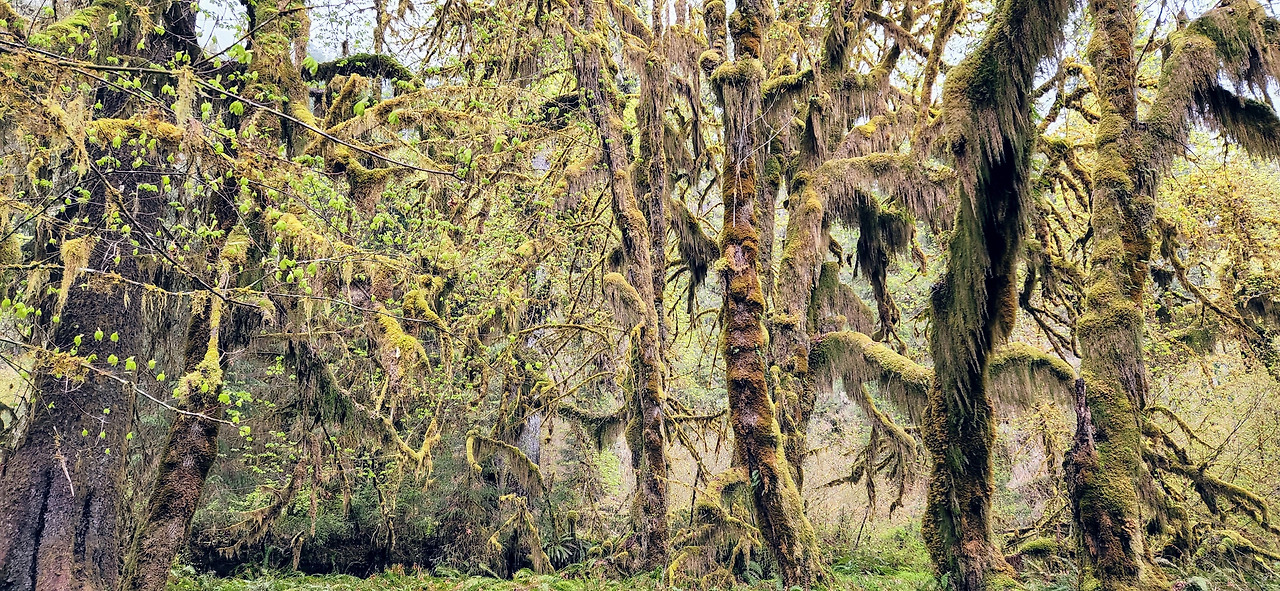 20220509_172740 (1).jpg