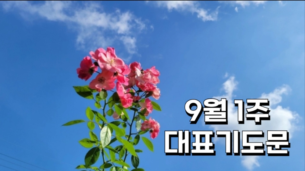 9월 1주 기도문