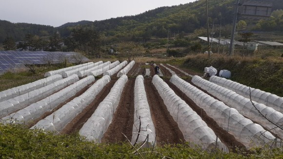 다운로드 (1).jpg