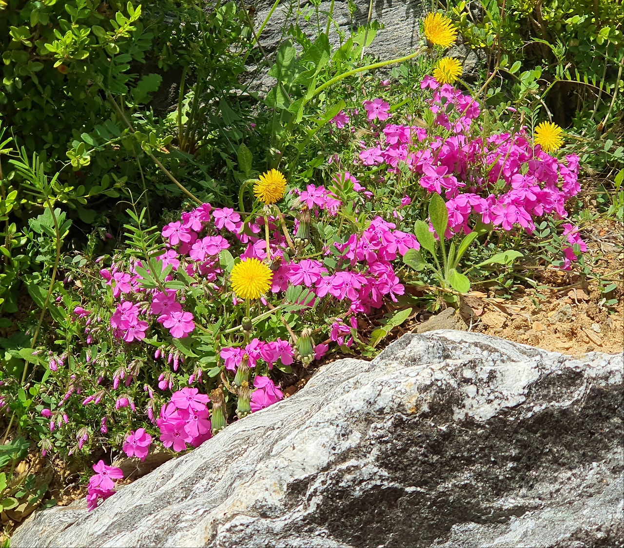 4.18아침편지1년 2.jpg