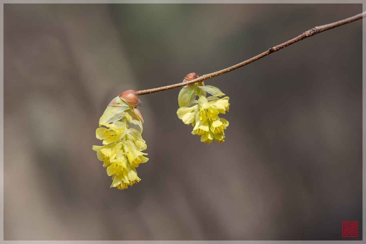 풍경 히어리.jpg