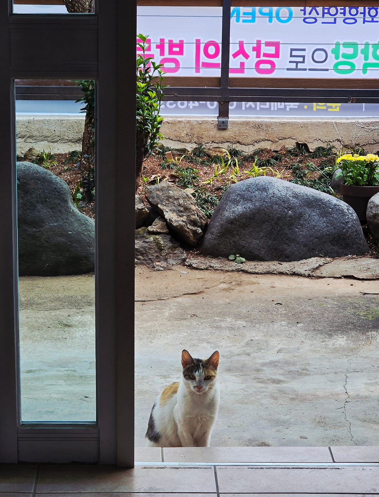 12.11 그리움1.jpg