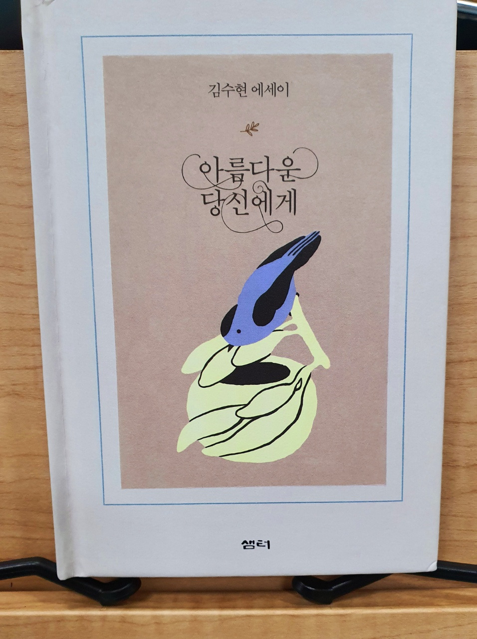 아름다운 당신에게 김수현작가.jpg