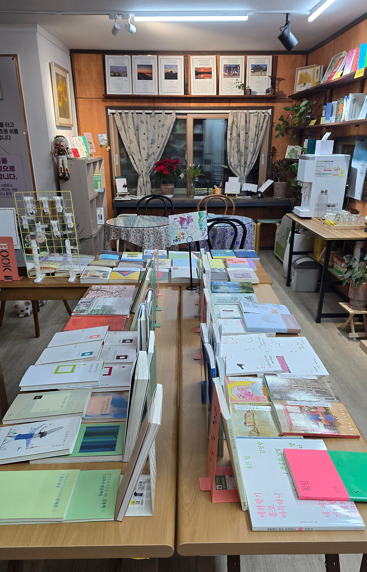 1.16책방안개3.jpg