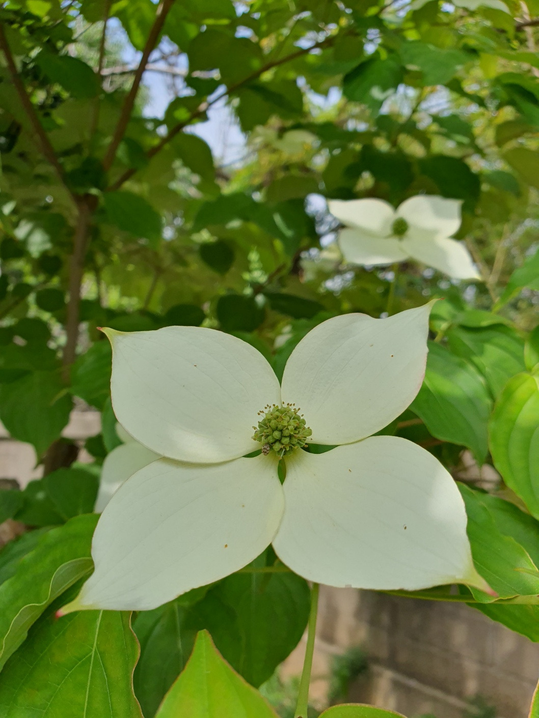 5.26삶의 연구자1.jpg