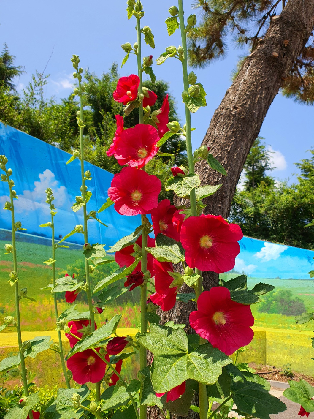 6.1 농부시인이한세.jpg