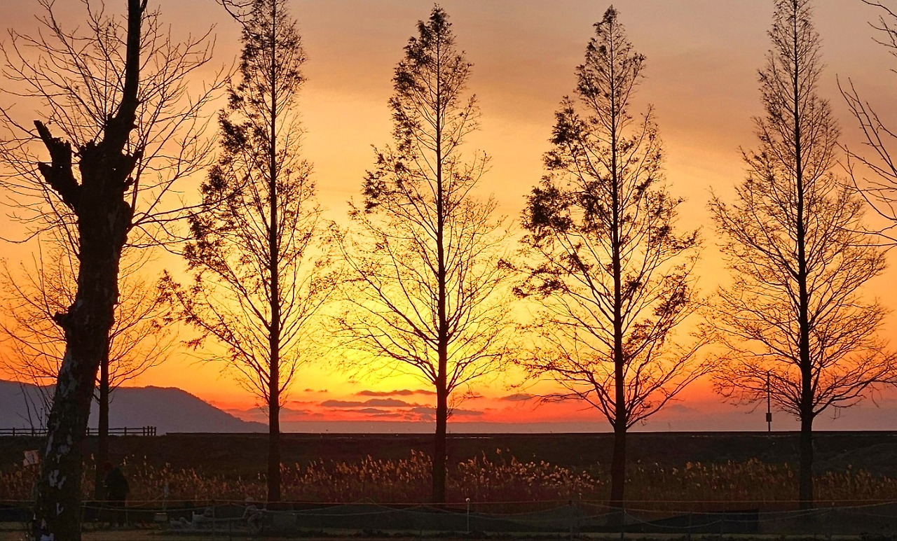 12.13 탄핵1일전1.jpg