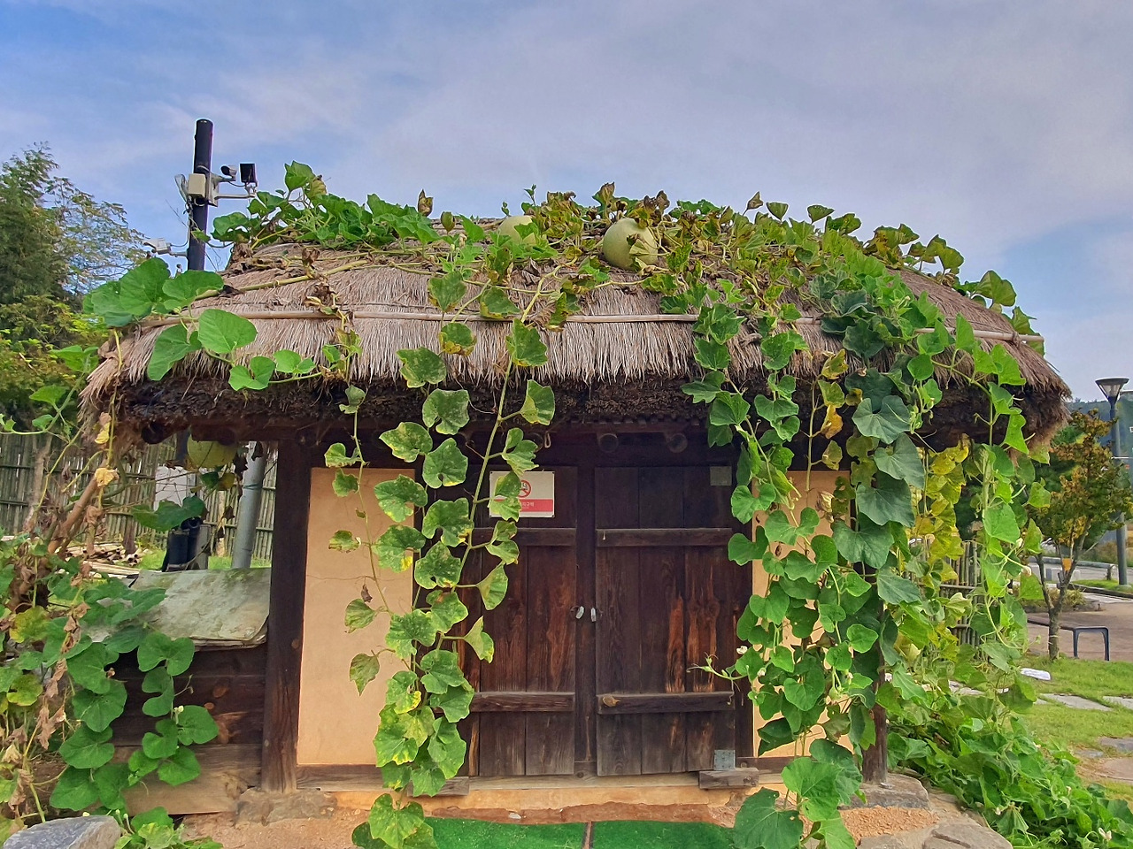 10.17서천 박4.jpg