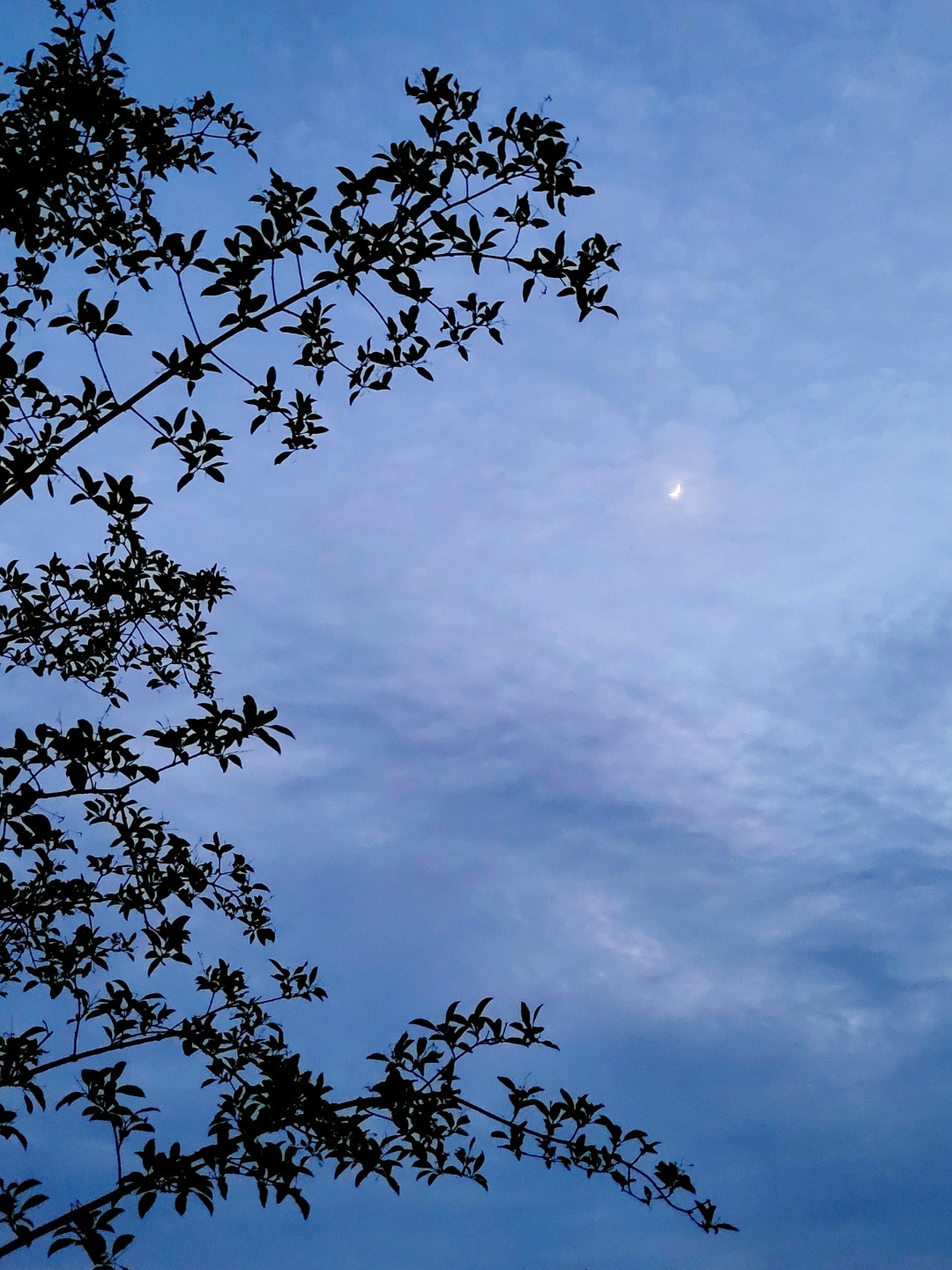 6.11 이해인새벽.jpg