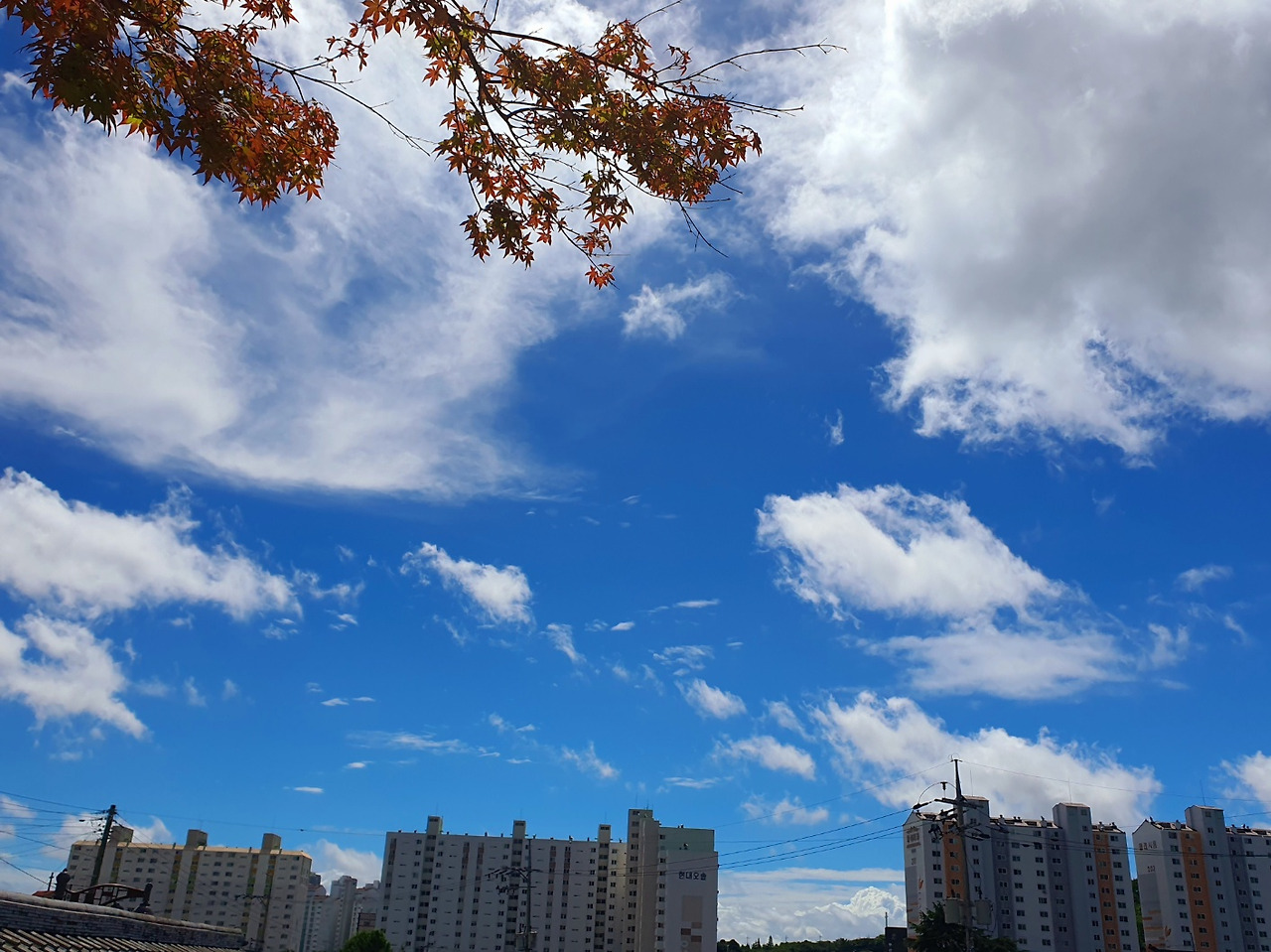 7.18 푸르하늘1.jpg