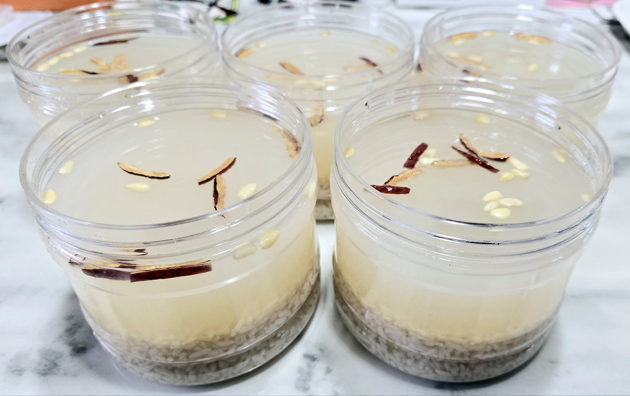 1.27사세보 식혜.jpg