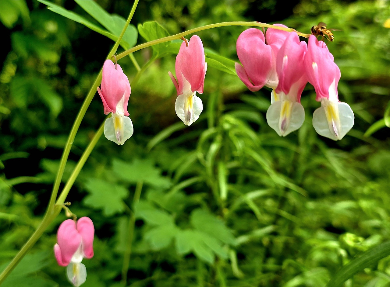 5.23 서천시낭송1.jpg