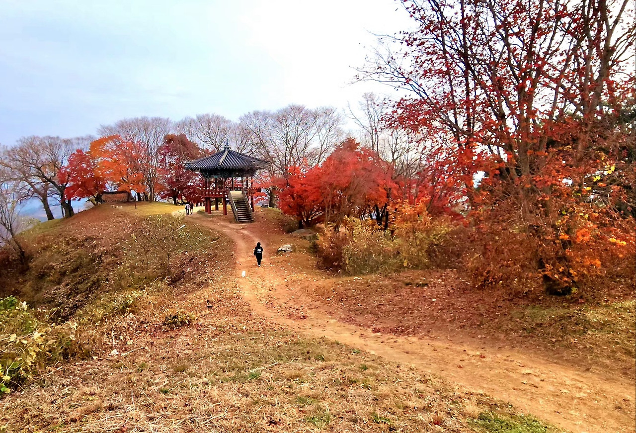 12.3늦단풍4.jpg